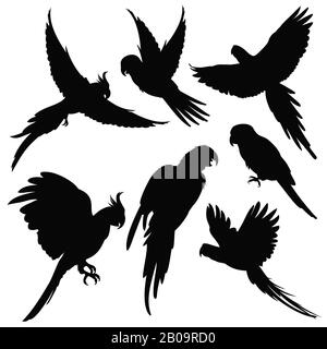 Vector parrots, amazon jungle birds silhouettes isolated on white. Black silhouette parrots, illustration of exotic bird parrot Stock Vector