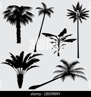 Tropical palm tree vector silhouettes isolated on white background. Black silhouette palm tree, illustration of coconut palm Stock Vector