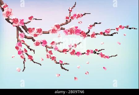 Japan sakura branches with cherry blossom flowers and falling petals isolated on white background vector illustration. Branch of cherry blossoms on blue background Stock Vector