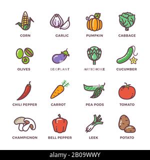 Vegetables vegan raw food colored vector icons set. Vegetable fot cooking illustration Stock Vector