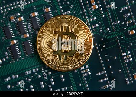 Bitcoin gold coin on a green & black computer circuit. Stock Photo