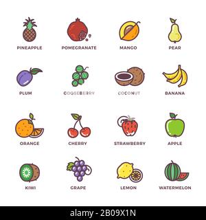 Fruits raw food colored vector icons set. Fresh narural vegetarian food illustration Stock Vector