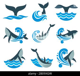 Wild whale in sea waves and water splashes vector icons. Animal wildlife whale in blue sea, illustration of marine animal Stock Vector