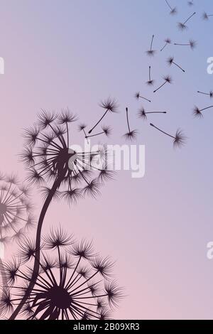 Dandelion with blowing spores vector abstract nature background. Silhouette of dandelion flower, illustration of tenderness fluffy dandelion Stock Vector