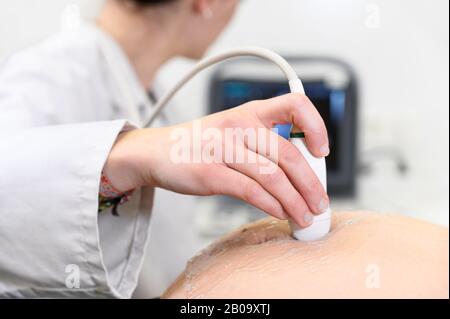 Doctor does Ultrasound or Sonogram Procedure to a Pregnant Woman in the Hospital, Close-up Shot of the Obstetrician Moving Transducer on the Belly of the Future Mother . Stock Photo