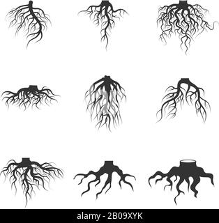 Tree and plant underground roots vector set. Tree root black. illustration of plant silhouette root Stock Vector