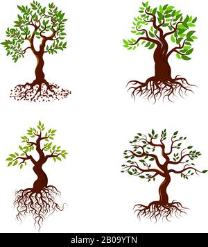 Trees with green leaves and roots vector tree planting collection. Nature green tree with root and leaf, illustration of set green tree Stock Vector