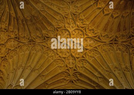 Gloucester Cathedral Cloisters have wonderful fan vaulted ceilings dating from the 14th Century. Stock Photo