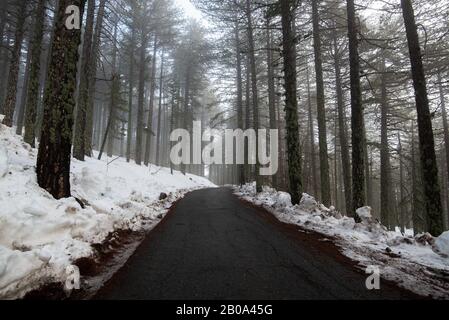Winter forest landscape with mountain covered in snow and empty frozen road. Troodos mountains in Cyprus Stock Photo