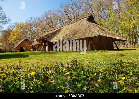 reflica of the garden of farmstead Sachsenhof dated about 800 AD, Germany, North Rhine-Westphalia, Muensterland, Greven Stock Photo