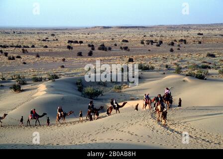 INDIA, RAJASTHAN, GREAT INDIAN (THAR) DESERT, NEAR JAISALMER, SAND DUNES IN EVENING LIGHT, TOURISTS ON CAMELS Stock Photo