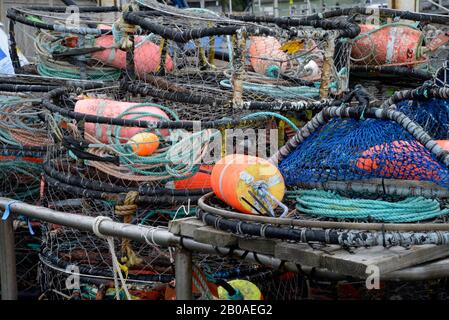 Crab pots on a boat in Port of Newport harbor, Yaquina Bay, Oregon. Stock Photo