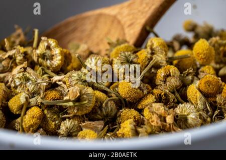 Dry chamomile flowers ready to brew. Stock Photo