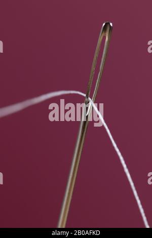 Close up macro studio shot of a threaded needle on a maroon background Stock Photo