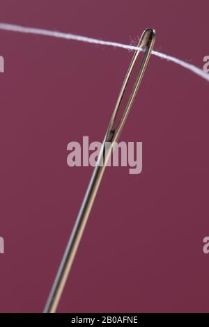Close up macro studio shot of a threaded needle on a maroon background Stock Photo
