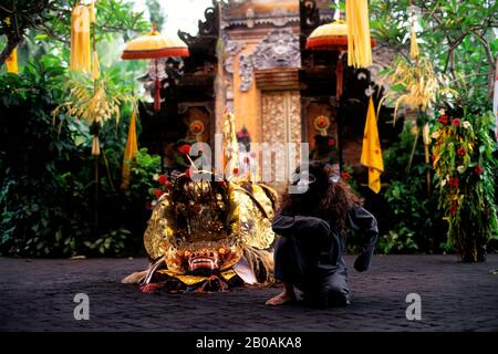 Monkey Rit Asia Bali Asia dance of the monkeys dancers Desa Ubud temple Hinduism ...