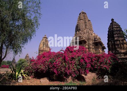 Bougainvillea At Khajuraho Temple Complex Stock Photo - Alamy