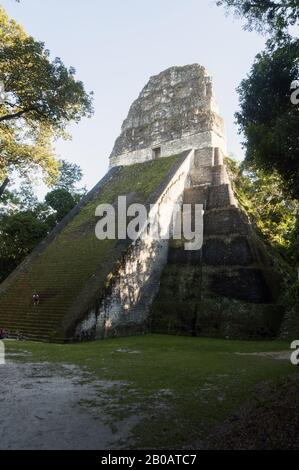 Guatemala, Tikal National Park, Templo V, 7th-8th c; UNESCO World Heritage Site Stock Photo