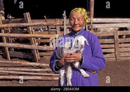 MONGOLIA,NEAR ULAANBAATAR, MONGOLIAN GRASSLAND IN WINTER, STEPPES, MONGOLIAN WOMAN, 3 DAY OLD LAMB Stock Photo