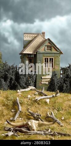Deserted House with Cattle Skull on Lawn Stock Photo