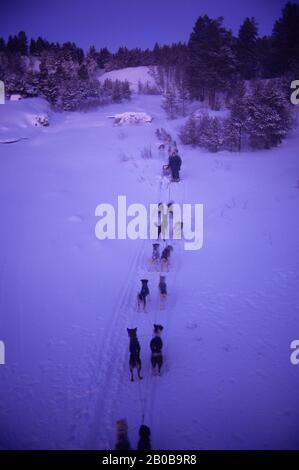 NORWAY, FINNMARK, NEAR KARASJOK, MID-WINTER, DOGSLED TEAM, AROUND NOON Stock Photo