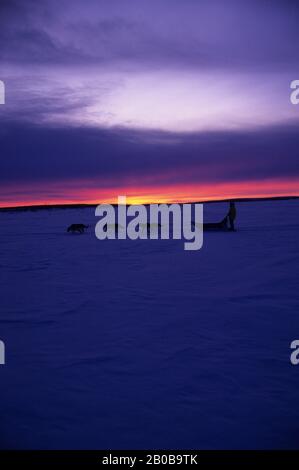 NORWAY, FINNMARK, NEAR KARASJOK, MID-WINTER, AROUND NOON, DOG TEAM, TWILIGHT TO THE SOUTH Stock Photo