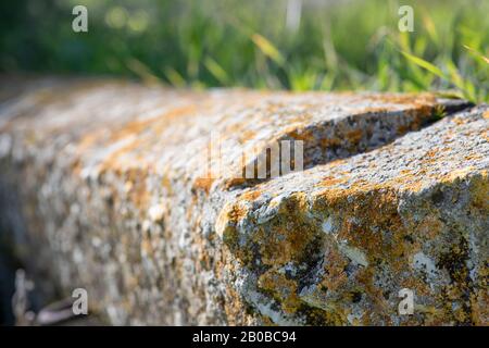 Concrete beam covered with multi-colored lichen lying in the grass Stock Photo