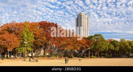 Autumn colours in Shirakawa Park, Nagoya, Japan Stock Photo