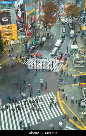 People walking across Shibuya Crossing, Shibuya, Tokyo, Japan Stock Photo