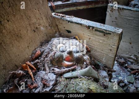 Creepy doll in an abandoned building in Pripyat, Ukraine, site of the 1986 Chernobyl nuclear desaster. Stock Photo
