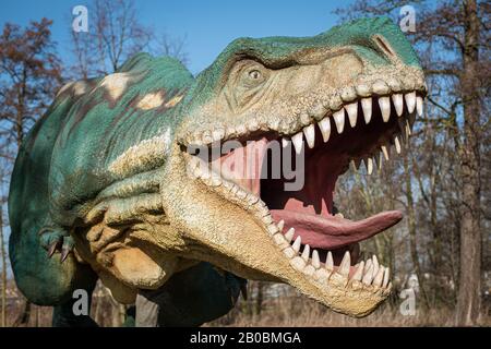 LUBIN, POLAND - FEBRUARY 8, 2020 - Realistic model of dinosaur Tyranosaurus Rex in Park Wroclawski. Park is well known tourist attraction for children Stock Photo