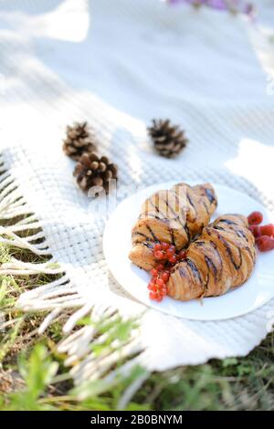 Two croissants lying on plate with berries near pine cones on white blanket. Stock Photo