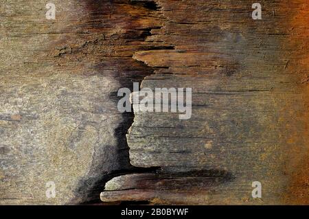 old weathered seaside coastal groyne Stock Photo