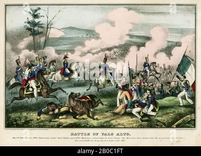 D. Needham, Part of a Collection of Mexican-American War Prints, The Battle of Palo Alto (May 18th, 1846 Between 2900 Americans under General Taylor, and 6000 Mexicans, commanded by General Arista. The Mexicans were driven from the ground with great loss -......, 1846, color lithograph on paper Stock Photo