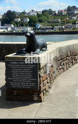 Bronze Statue of Tarka the Otter Lying down in Bideford (Kingsley's Little White Town) on the Tarka Trail/South West Coast Path, North Devon. England. Stock Photo