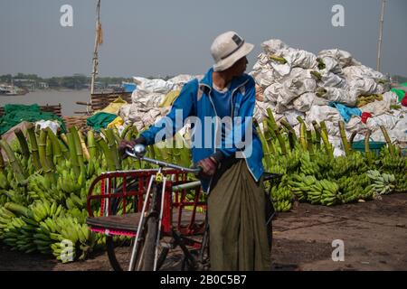 Yangon, Myanmar - January 2020: A man walks past bunches of green bananas at the banana market on the banks of the Yangon river Stock Photo