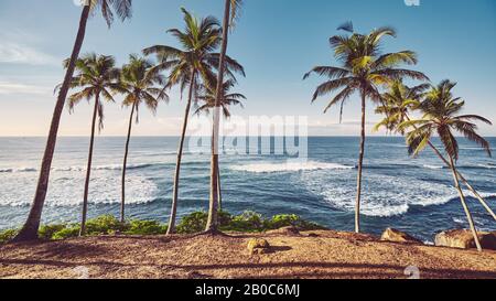 Tropical beach with coconut palm trees at sunrise, color toning applied. Stock Photo