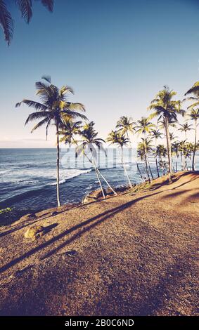 Tropical beach with coconut palm trees at sunrise, retro color toning applied. Stock Photo