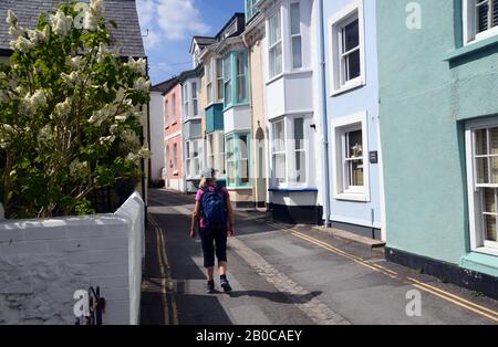 Woman Hiker Walking down Irsha Street a Narrow Street of Pastel Coloured Terraced Houses in Appledore on the South West Coast Path. North Devon. Stock Photo