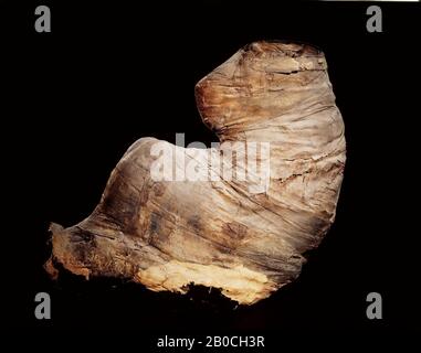 monkey, baboon, Young adult male or the olive or anubis baboon (Papio cynocephalus L. 1766, more commonly known nowadays as Papio hamadryas anubis). Skull apparently empty. Teeth complete (apart from the canines) and without wear, apical foramina closed, lamina dura ossified. Laryngeal and trachea preserved in situ. Other organs or thoracic and abdominal cavities removed, no visible fillings. No anomalies or vertebrae, dislocation between L5 and L6, caudal vertebrae detached from sacrum, modern restoration with metal wire around pelvic bones. Skeleton or anterior limbs complete, hands folded Stock Photo