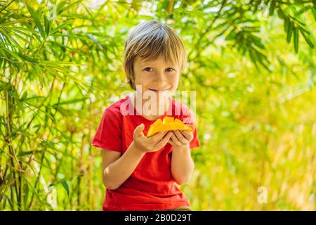 Little cute boy eating mango on the terrace Stock Photo