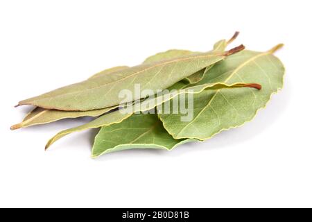 Bay Leaves  isolated on white background. Also called bay laurel or Laurus nobilis. Used as a spice in cuisines and also in medicine. Stock Photo