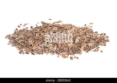 Pile Fennel seeds (Anethum graveolens) isolated on white background. The plant is used in medicine, in perfumery and cosmetics. Stock Photo