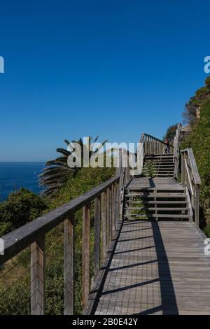 The Federation Cliff Walk, Dover Heights, Sydney. Its a five kilometre clifftop walk with amazing views out to the Pacific Ocean from Dover Heights to Stock Photo