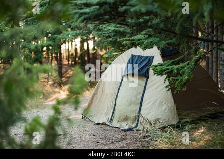 Khaki Tent In The Forest Wild Rest In The Forest Camping In The Forest Stock Photo Alamy
