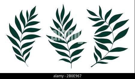Vector leaves set. Botanical illustration. Hand drawn leaf. Spring set Stock Vector