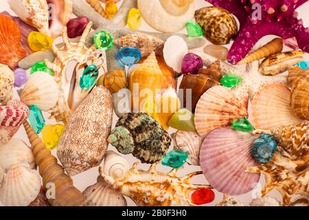 Tropical background of beautiful shells on a white background. Multi-colored shells and crystals on the seabed. Tropical background. Stock Photo