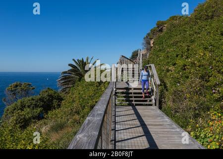 The Federation Cliff Walk, Dover Heights, Sydney. Its a five kilometre clifftop walk with amazing views out to the Pacific Ocean from Dover Heights to Stock Photo