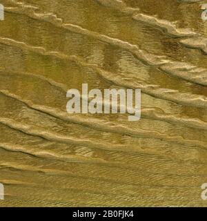 Abstract detailed tidal patterns in the sand at low tide on Penbryn beach in south west Wales UK Stock Photo