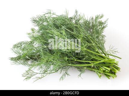 Fresh dill isolated on white background Stock Photo